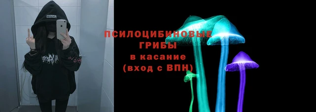MDMA Сясьстрой