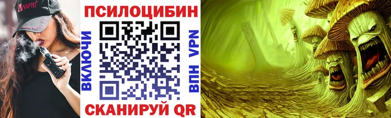 Псилоцибиновые грибы GOLDEN TEACHER  закладка  Безенчук 